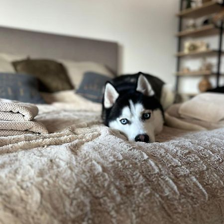 Apartman Freya Liptovský Mikuláš 외부 사진